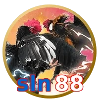 sln88