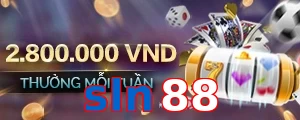 sln88